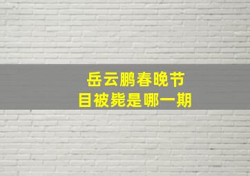 岳云鹏春晚节目被毙是哪一期