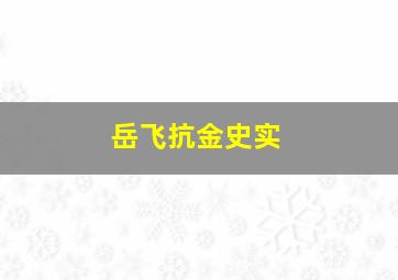 岳飞抗金史实