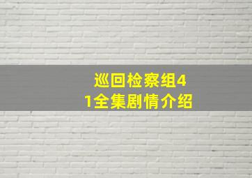 巡回检察组41全集剧情介绍