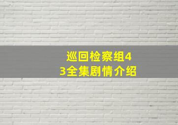 巡回检察组43全集剧情介绍