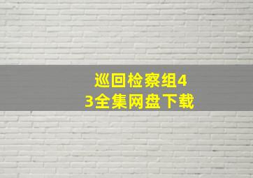 巡回检察组43全集网盘下载