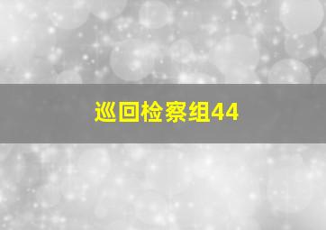 巡回检察组44