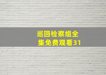 巡回检察组全集免费观看31