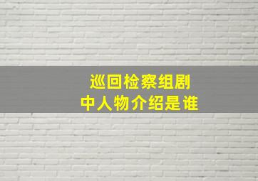 巡回检察组剧中人物介绍是谁