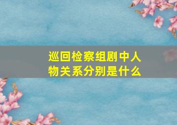 巡回检察组剧中人物关系分别是什么