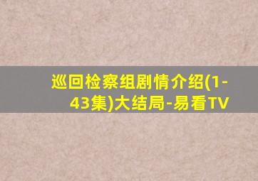 巡回检察组剧情介绍(1-43集)大结局-易看TV