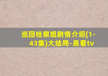 巡回检察组剧情介绍(1-43集)大结局-易看tv