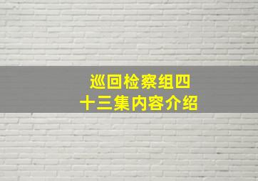 巡回检察组四十三集内容介绍