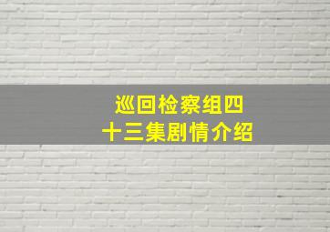 巡回检察组四十三集剧情介绍