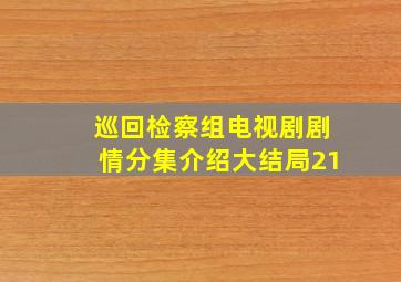 巡回检察组电视剧剧情分集介绍大结局21