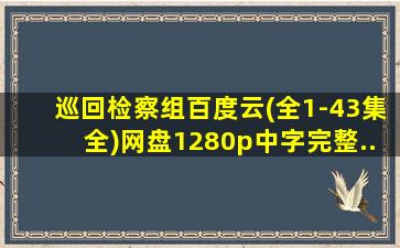 巡回检察组百度云(全1-43集全)网盘1280p中字完整...