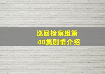 巡回检察组第40集剧情介绍