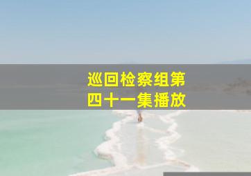 巡回检察组第四十一集播放