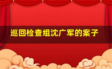 巡回检查组沈广军的案子