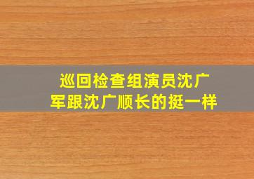 巡回检查组演员沈广军跟沈广顺长的挺一样