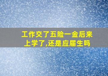 工作交了五险一金后来上学了,还是应届生吗