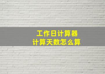 工作日计算器计算天数怎么算