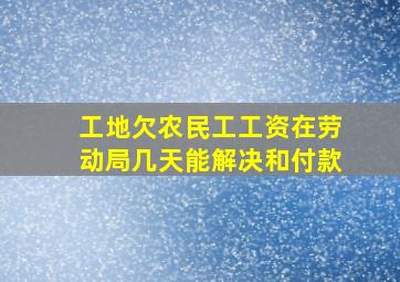 工地欠农民工工资在劳动局几天能解决和付款