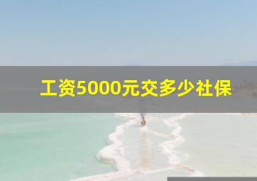 工资5000元交多少社保