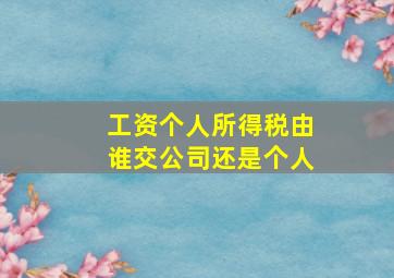 工资个人所得税由谁交公司还是个人