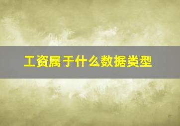 工资属于什么数据类型