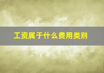 工资属于什么费用类别