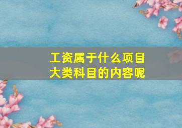 工资属于什么项目大类科目的内容呢