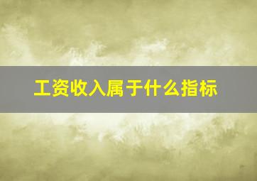 工资收入属于什么指标