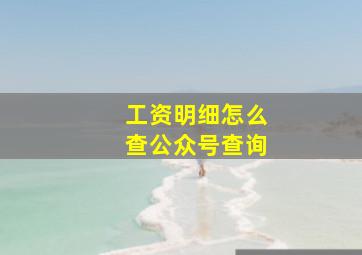 工资明细怎么查公众号查询