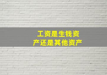 工资是生钱资产还是其他资产