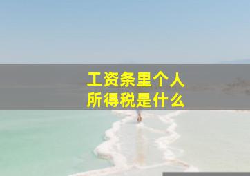 工资条里个人所得税是什么