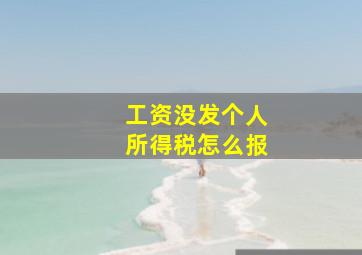 工资没发个人所得税怎么报