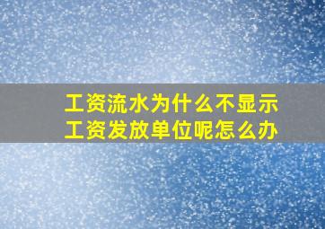 工资流水为什么不显示工资发放单位呢怎么办