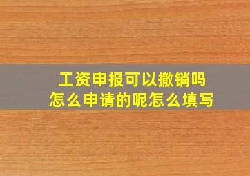 工资申报可以撤销吗怎么申请的呢怎么填写