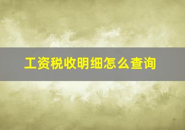 工资税收明细怎么查询