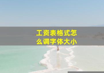 工资表格式怎么调字体大小