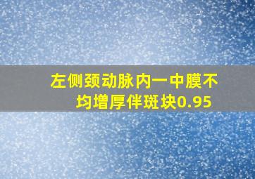 左侧颈动脉内一中膜不均增厚伴斑块0.95