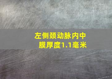 左侧颈动脉内中膜厚度1.1毫米