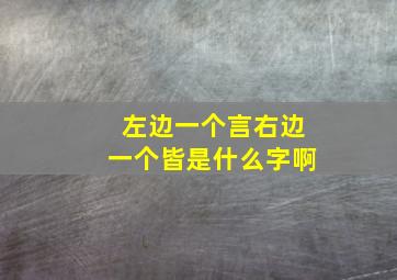 左边一个言右边一个皆是什么字啊