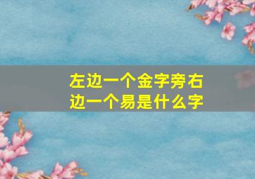 左边一个金字旁右边一个易是什么字