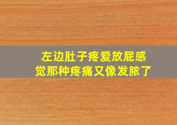 左边肚子疼爱放屁感觉那种疼痛又像发脓了