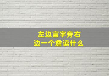 左边言字旁右边一个詹读什么