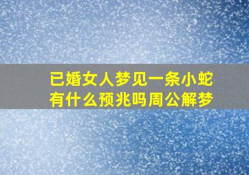 已婚女人梦见一条小蛇有什么预兆吗周公解梦