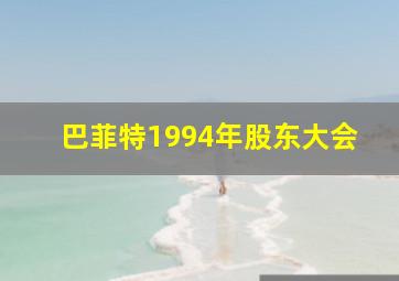 巴菲特1994年股东大会