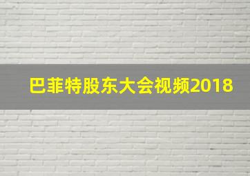 巴菲特股东大会视频2018