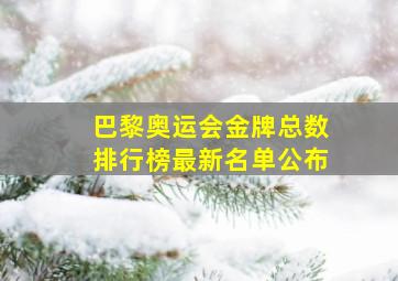 巴黎奥运会金牌总数排行榜最新名单公布