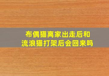 布偶猫离家出走后和流浪猫打架后会回来吗