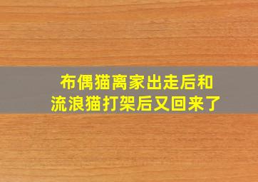 布偶猫离家出走后和流浪猫打架后又回来了