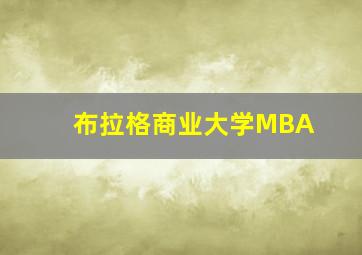 布拉格商业大学MBA