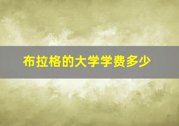 布拉格的大学学费多少